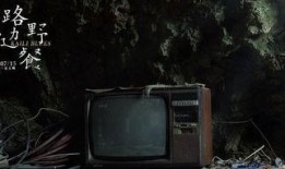 路边野餐在线观看,沉浸式体验，跟随镜头探寻未知世界